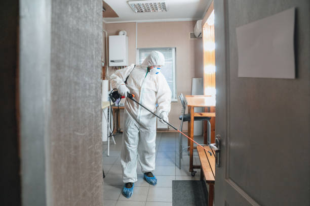 Best Environmental Consulting for Mold Prevention  in La Crescenta Montrose, CA