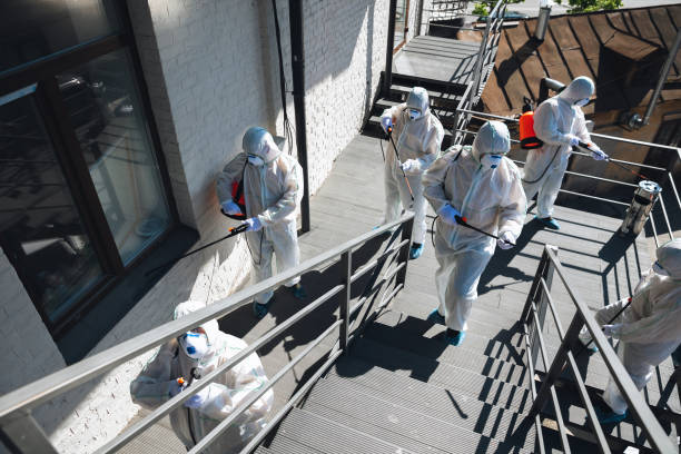 Best Commercial Mold Inspection  in La Crescenta Montrose, CA