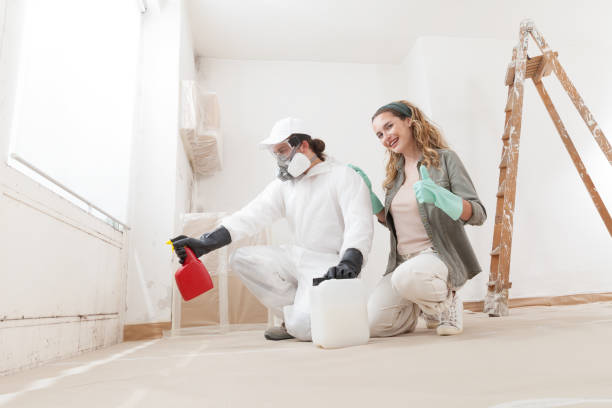 Best Flood Damage  in La Crescenta Montrose, CA